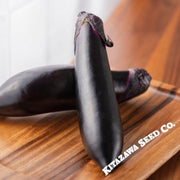eggplant-seeds-shoya-long-hybrid