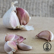 garlic-bulbs-hardneck-krandasger-red
