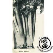 giant-golden-pascal-celery