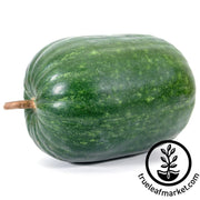 gourd-seeds-apple-large