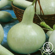 gourd-seeds-martinhouse-bottle