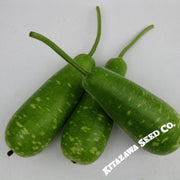 gourd-seeds-nam-tao-yai-hybrid