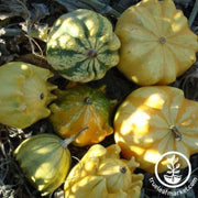 gourd-seeds-ten-commandments