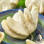 gourd-seeds-ufo-f1