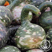 gourds-dipper-long-handle-seeds-vegetable-seed