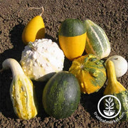 Gourd large and small mix seeds
