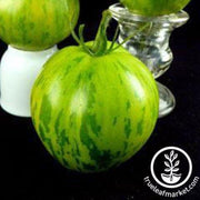 green-zebra-tomato