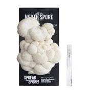 Lion's Mane ‘Spray & Grow’ Mushroom Growing Kit