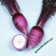 hot-radish-seeds-aka-karaine-hybrid