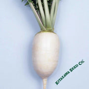 hot-radish-seeds-karaine-hybrid