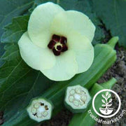 jade-okra