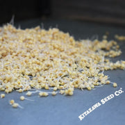 japanese-millet