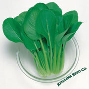 komatsuna-mustard-seeds-green-boy-hybrid