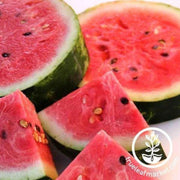 legacy-watermelon-seeds