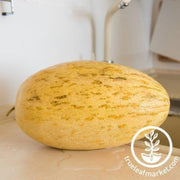 melon-seeds-banana
