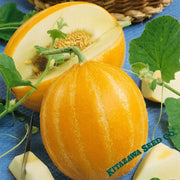 melon-seeds-early-silver-line
