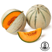 melon-seeds-honey-rock