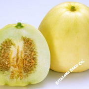 melon-seeds-new-melon