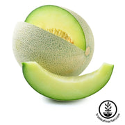 melon-seeds-rocky-ford-green-flesh