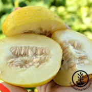 melon-seeds-vine-peach