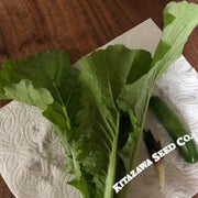 mustard-seeds-gai-choi