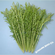 mustard-seeds-golden-streak