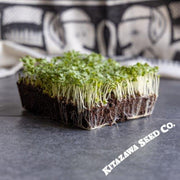 mustard-seeds-golden-streak-microgreens-seeds