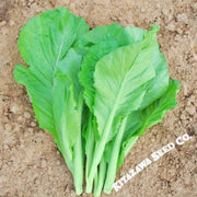 mustard-seeds-small-gai-choi