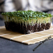 mustard-seeds-small-gai-choi-microgreens-seeds