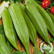 okra-seeds-star-of-david-organic