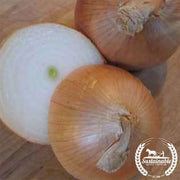 onion-seeds-utah-yellow-sweet-spanish-organic