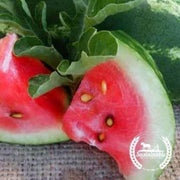 organic-allsweet-watermelon-seeds