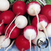 organic-confetti-mix-radish