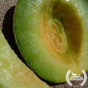 organic-rocky-ford-green-flesh-melon