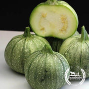 organic-ronde-de-nice-squash