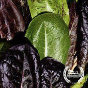 organic-tricolor-romaine-lettuce-blend