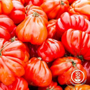 oxheart-pink-tomato-seeds