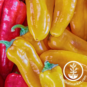 golden treasure pepper seeds Overstock Banner