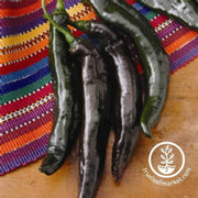 pepper-hot-holy-mole-hybrid-seeds