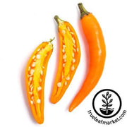 pepper-seeds-hot-bulgarian-carrot