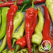 pepper-seeds-hot-cayenne-espana-f1
