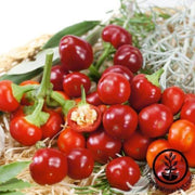 pepper-seeds-hot-cherry-mini-hot-f1