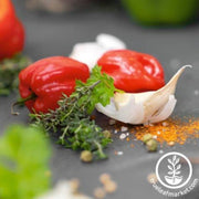 pepper-seeds-hot-cienfuegos-red-f1