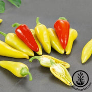 pepper-seeds-hot-dancing-spirits-f1