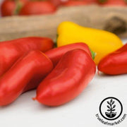 pepper-seeds-hot-enchantment-f1