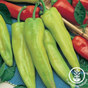pepper-seeds-hot-geronimo-f1