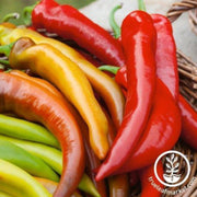 pepper-seeds-hot-mexican-sunset-f1-aas