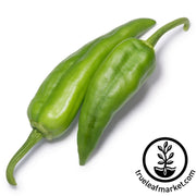 pepper-seeds-hot-nu-mex-sandia