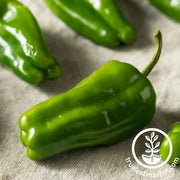 pepper-seeds-sweet-cascadura-Comp