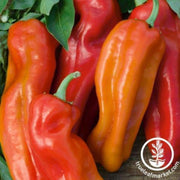 pepper-seeds-sweet-cubanella-f1